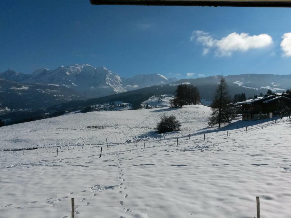 Rez De Chaussee Tres Calme Vue Mont-Blanc コンブルー エクステリア 写真