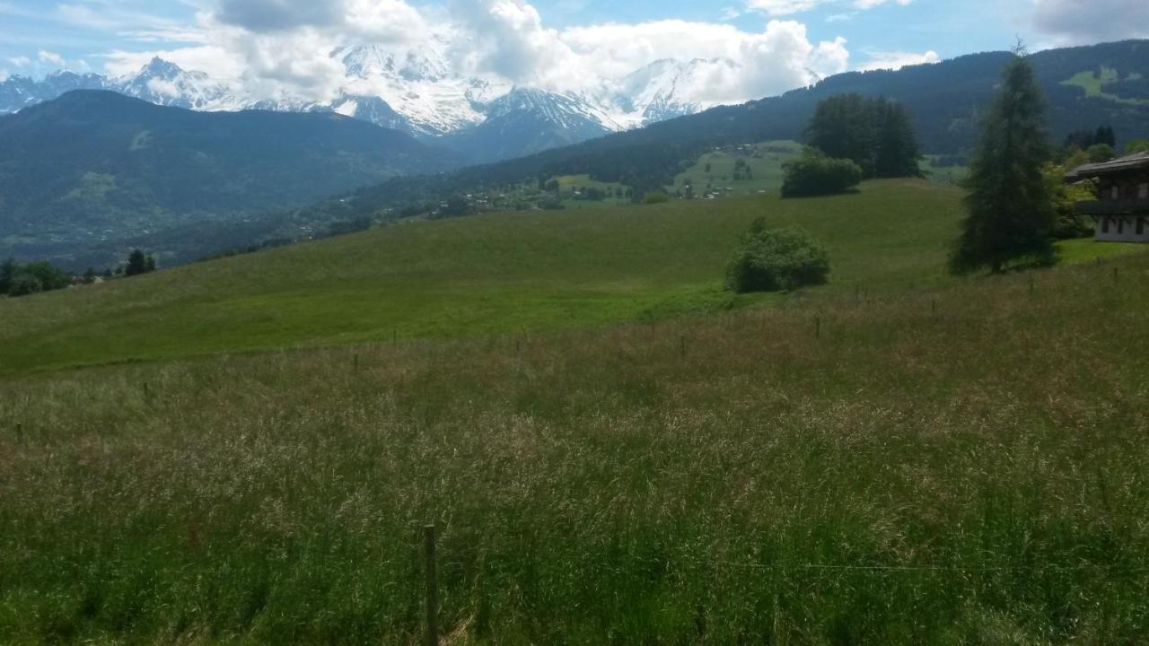 Rez De Chaussee Tres Calme Vue Mont-Blanc コンブルー 部屋 写真